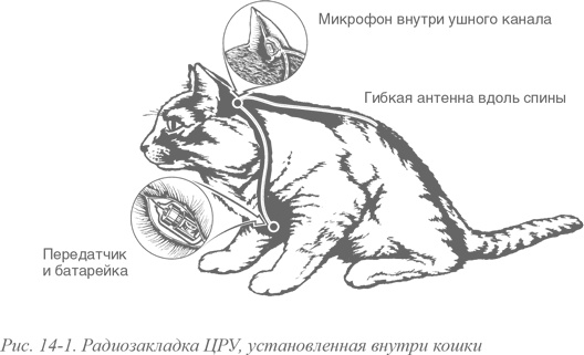 Искусство шпионажа. Тайная история спецтехники ЦРУ