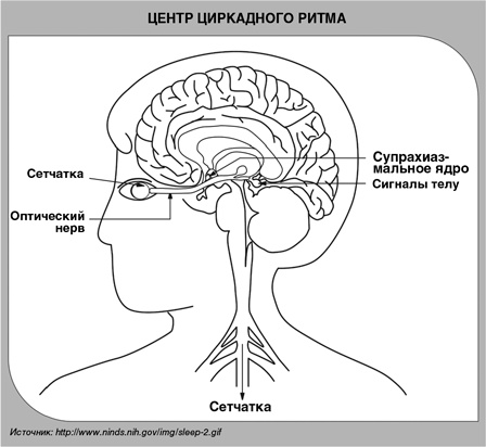 Детский сон. Простые решения для родителей