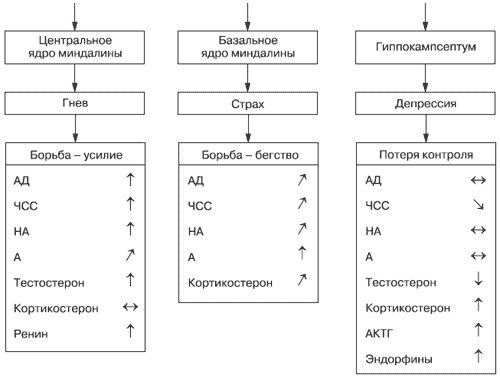 Эмоции и чувства