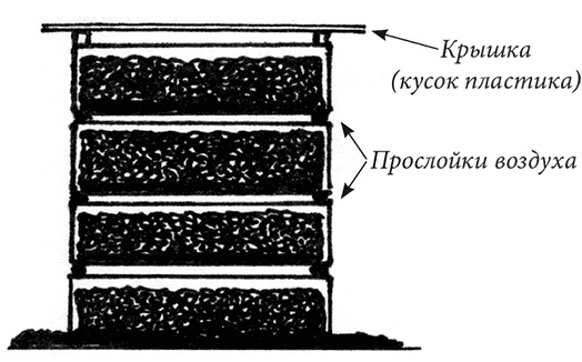 Секреты доброй почвы для чудо-урожая