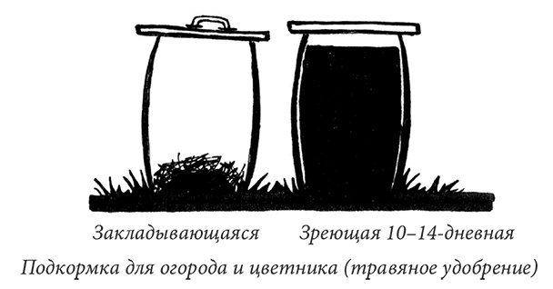 Секреты доброй почвы для чудо-урожая