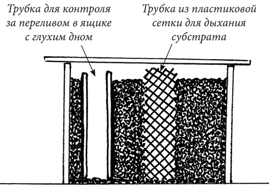 Секреты доброй почвы для чудо-урожая