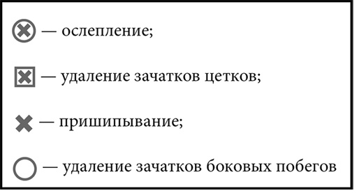 Секреты раннего урожая. Все о парниках, теплицах и подготовке семян