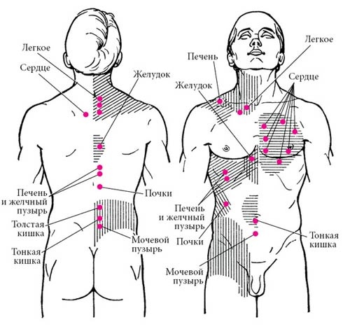 Целительные точки нашего тела