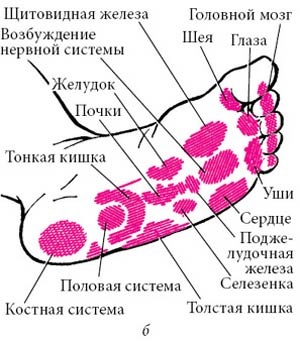 Целительные точки нашего тела