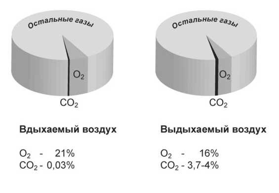 Парадоксальное дыхание для начинающих