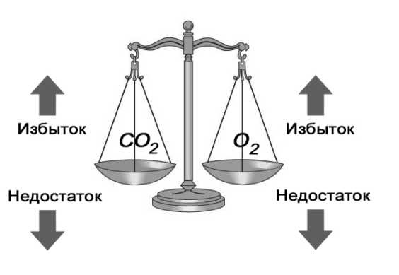 Парадоксальное дыхание для начинающих