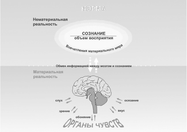 Парадоксальное дыхание для начинающих