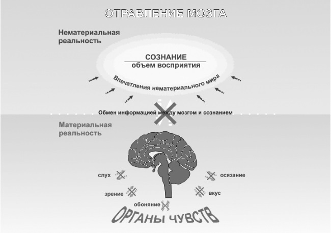 Парадоксальное дыхание для начинающих