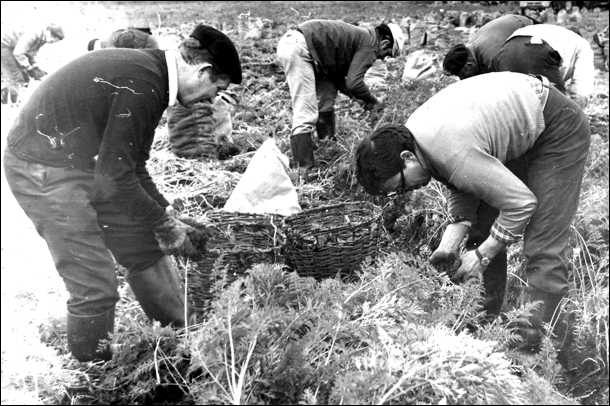 СССР при Брежневе. Правда великой эпохи