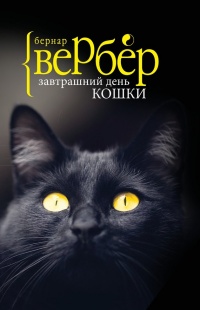 Книга Завтрашний день кошки