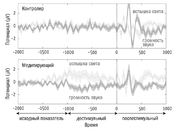 Сверхнормальное. Путь к овладению сверхвозможностями