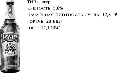 История пива. От монастырей до спортбаров