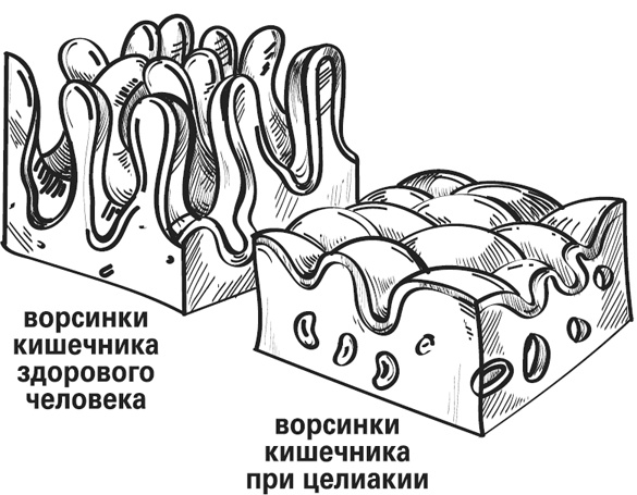 Мой лучший друг - желудок. Еда для умных людей