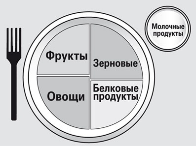 Мой лучший друг - желудок. Еда для умных людей