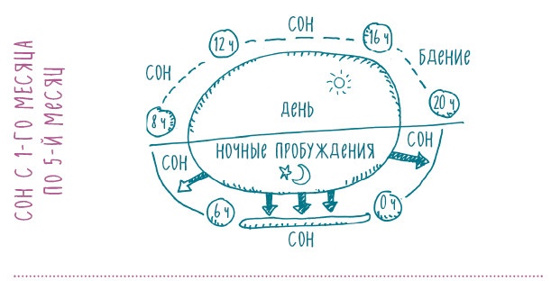 Как научить ребенка спать. Революционный метод доктора Эстивиля