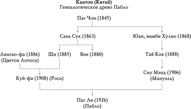 Остров бесконечной любви