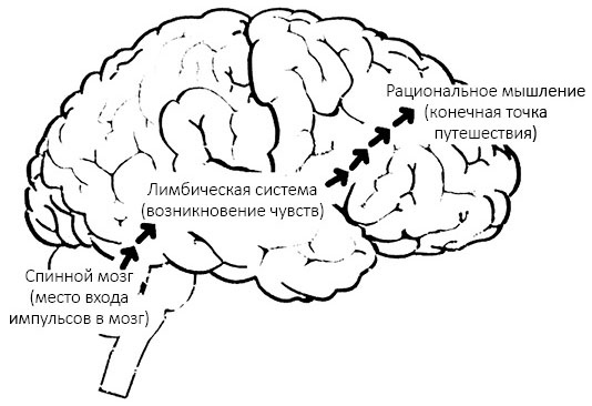 Эмоциональный интеллект 2.0