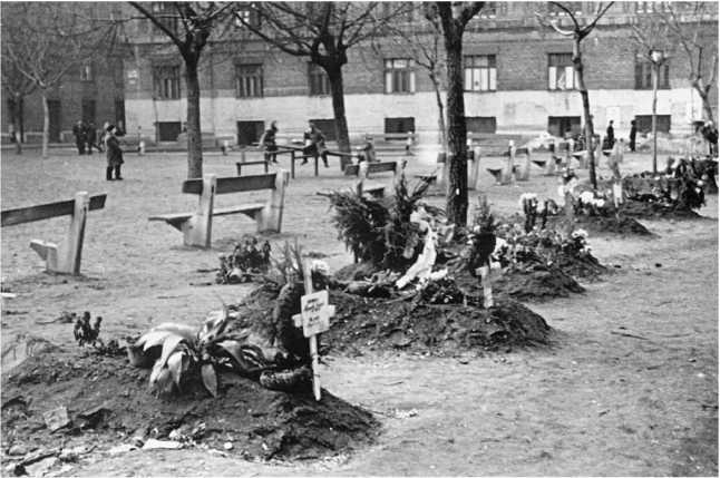 Венгерский кризис 1956 года в исторической ретроспективе