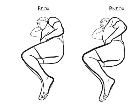 Желудок и кишечник. Советы и рекомендации ведущих врачей