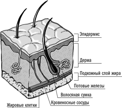 Первая помощь своими руками. Если скорая не спешит