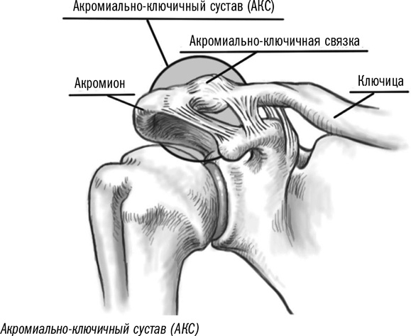 Первая помощь своими руками. Если скорая не спешит