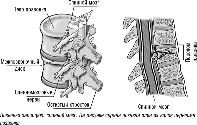 Первая помощь своими руками. Если скорая не спешит