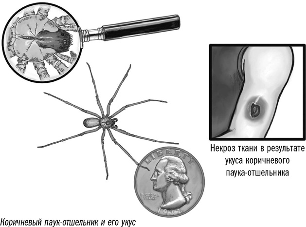 Первая помощь своими руками. Если скорая не спешит