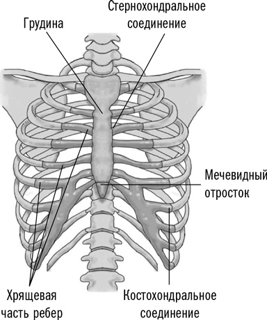 Первая помощь своими руками. Если скорая не спешит