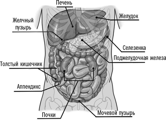 Первая помощь своими руками. Если скорая не спешит