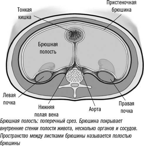 Первая помощь своими руками. Если скорая не спешит