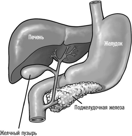 Первая помощь своими руками. Если скорая не спешит