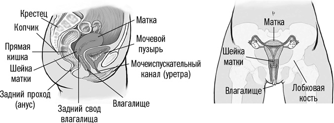 Первая помощь своими руками. Если скорая не спешит