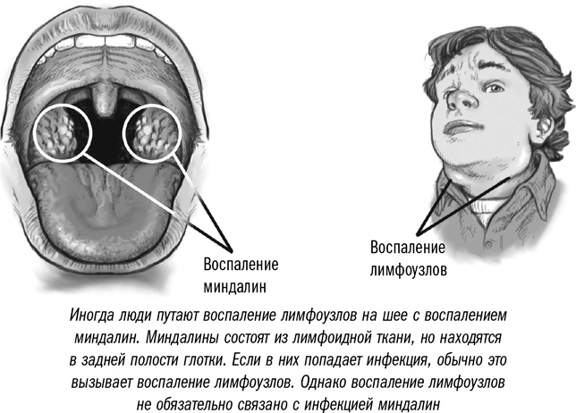 Первая помощь своими руками. Если скорая не спешит