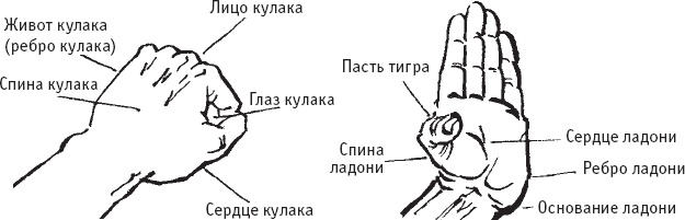 Ба-Дуань-Цзинь (Восемь кусков парчи)