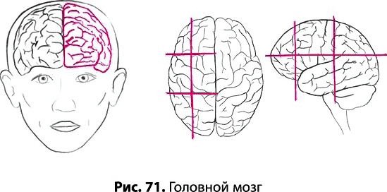 Тайное знание не для всех. Секреты целителя