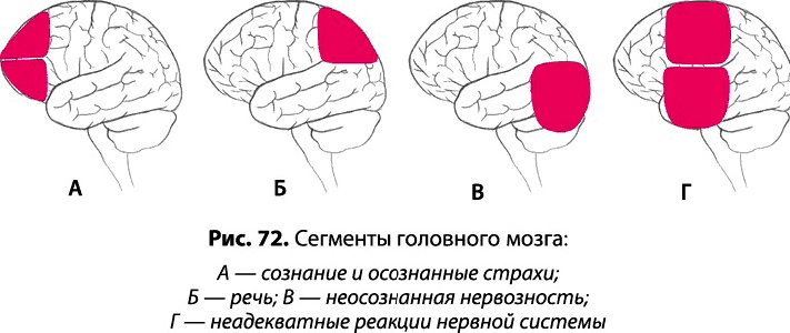 Тайное знание не для всех. Секреты целителя