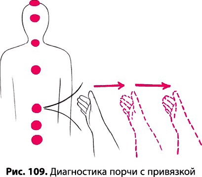 Тайное знание не для всех. Секреты целителя