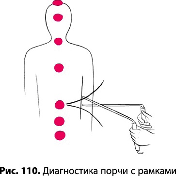 Тайное знание не для всех. Секреты целителя