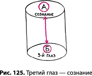 Тайное знание не для всех. Секреты целителя