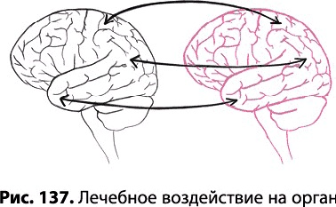 Тайное знание не для всех. Секреты целителя