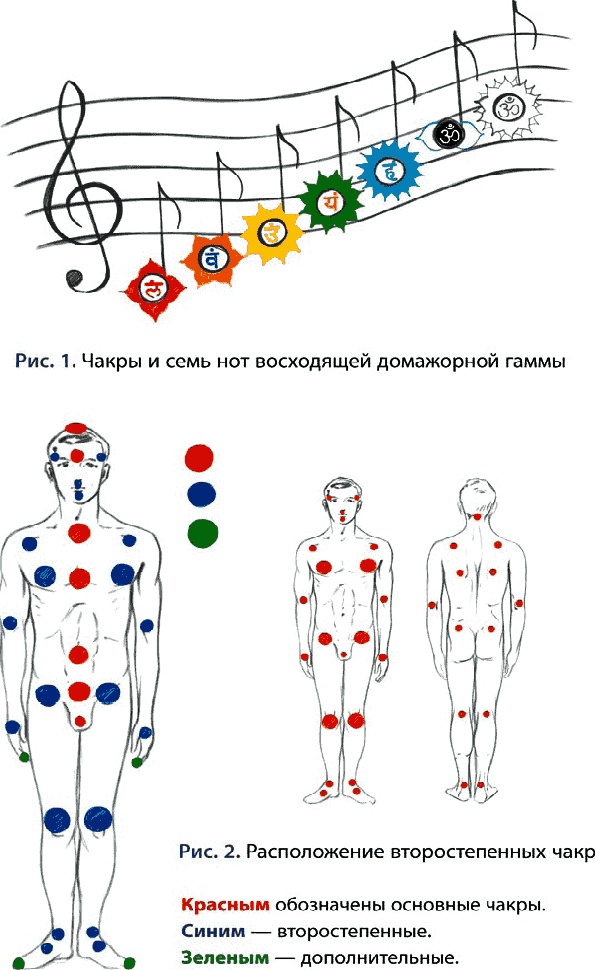 Тайное знание не для всех. Секреты целителя