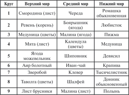 Сила рода. Славянские традиции и ритуалы сохранения семьи и почитания предков