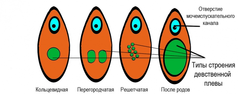 Половое воспитание детей и подростков