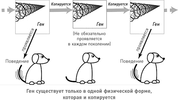 Начало бесконечности. Объяснения, которые меняют мир