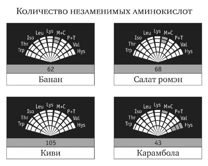 Сыроедение и другие здоровые привычки. Ответы на вопросы