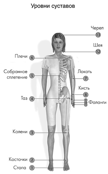 САТ: Сакральная архитектура тела. Экспресс-методика