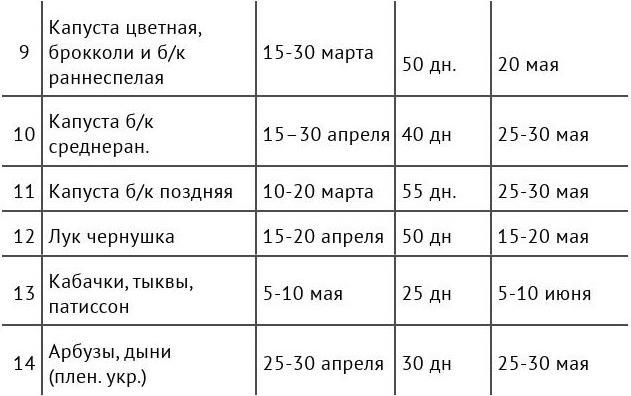 Рабочий календарь дачника, или Рабочие будни на даче