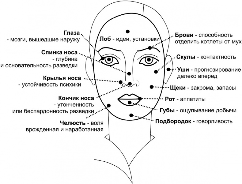 Читай лица! Специальная методика чтения лиц и эмоций