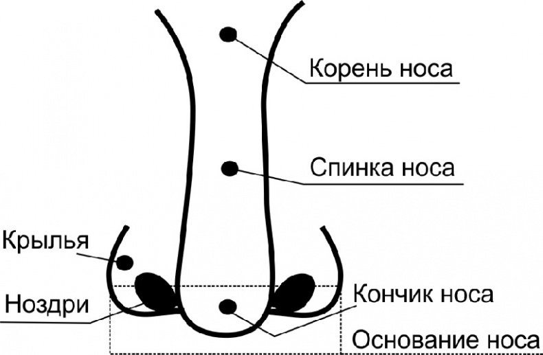 Читай лица! Специальная методика чтения лиц и эмоций